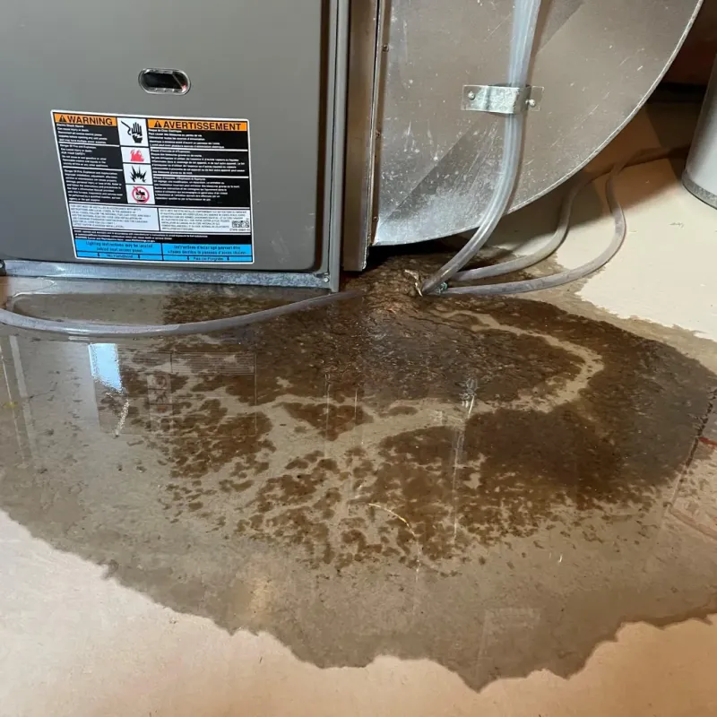 Appliance Leak Cleanup in Woodstown, NJ